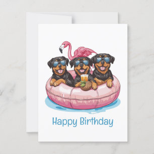Happy Birthday Rottweiler Dogs Flamingo Pool Tube Postkarte