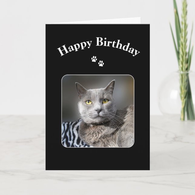 Happy Birthday Russian Blue Cat Karte (Vorderseite)