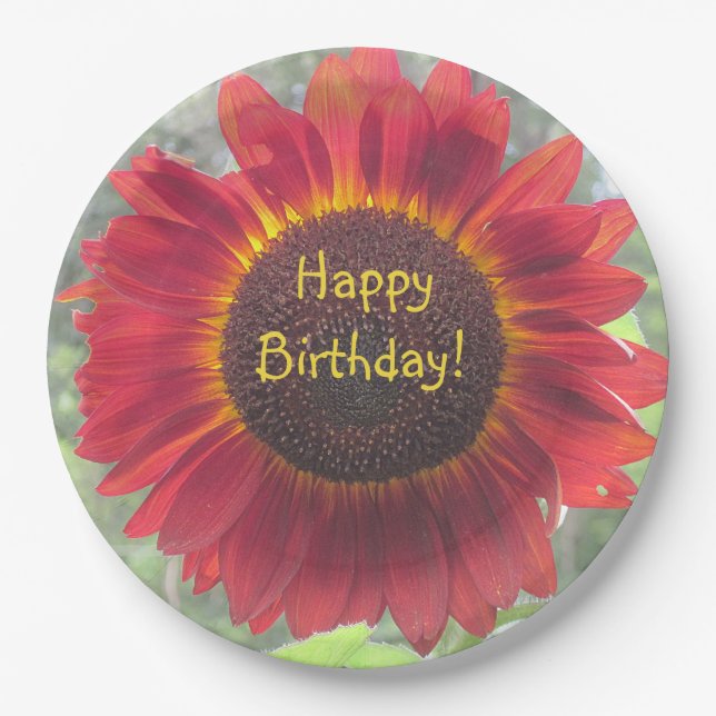 Happy Birthday Rusty Sonnenblume Pappteller (Vorderseite)
