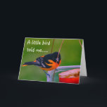 **HAPPY BIRTHDAY** SAYS BIRDIE KARTE<br><div class="desc">HAPPY BIRTHDAY WISHES FROM THIS BEAUTIFUL BALTIMORE ORIOLE UND FROM WHOMEVER SIGNS THE CARD :)
THANKS FOR STOPPING BY 1 OF MY 8 STORES.</div>