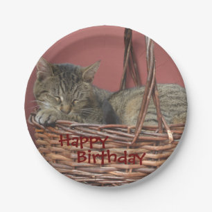 Happy Birthday Schlafen Kitty Paper Plate Pappteller