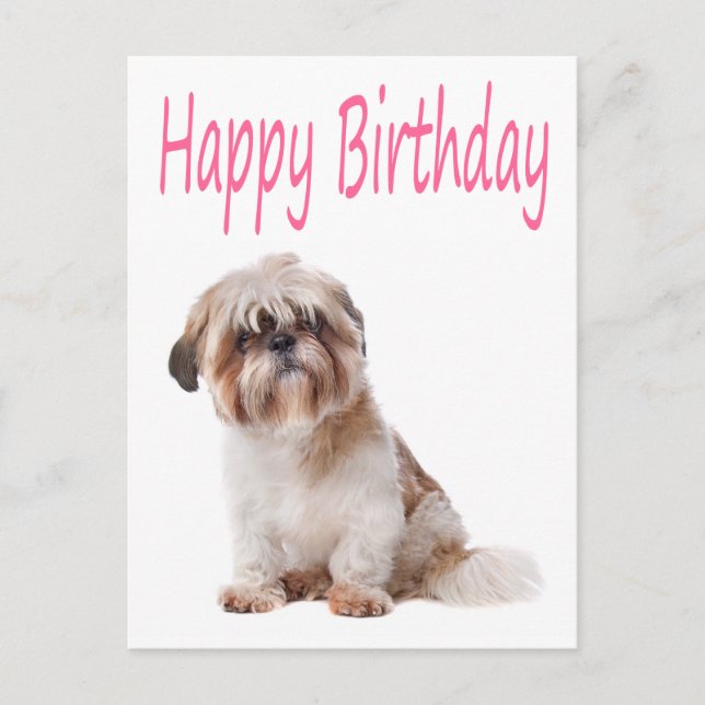 Happy Birthday Shih Tzu Puppy Postcard Postkarte (Vorderseite)
