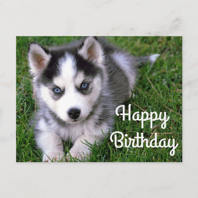 Happy Birthday Siberian Husky Welpen-Postkarte Postkarte (Vorderseite)
