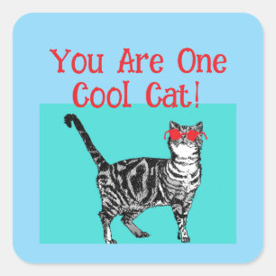 Happy Birthday Sie Cool Tabby Cat Mens Husband Quadratischer Aufkleber