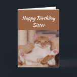 Happy Birthday Sister Celebrate es auf jede Weise  Karte<br><div class="desc">Herzlichen Glückwunsch zum Geburtstag Sister Celebrate es auf jede Art und Weise will du mit einer niedlich entspannenden Katze Weihnachten Tier Geburtstag Gruß,  um sich anzupassen</div>
