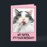 Happy Birthday Sister Funny Cat in Make Up Feiertagskarte<br><div class="desc">Erzähl deiner Schwester,  dass sie sich "puppt" und ihren Tag genießen kann,  um mit dieser unglaublich witzig Katze zu glänzen und zu erleben,  in lebendigem Make-up,  der gerade einen roten Lippenstift aufgetragen hat,  wenn du ihnen einen guten Geburtstag wünschen willst!</div>