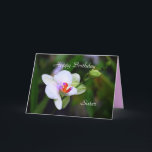Happy Birthday Sister Phalaenopsis Orchid Card Karte<br><div class="desc">Die Familie Orchid ist eine morphologisch vielfältige und weit verbreitete Familie von Monocots in der Reihenfolge Asparagales, nach Wikipedia. Die Pflanze ist die größte Blütenfamilie , mit 21.950 bis 26.049 derzeit anerkannten Arten, die in 880 Gattungen vorkommen. Die Anzahl der Orchideen ist mehr als doppelt so hoch wie die Zahl...</div>