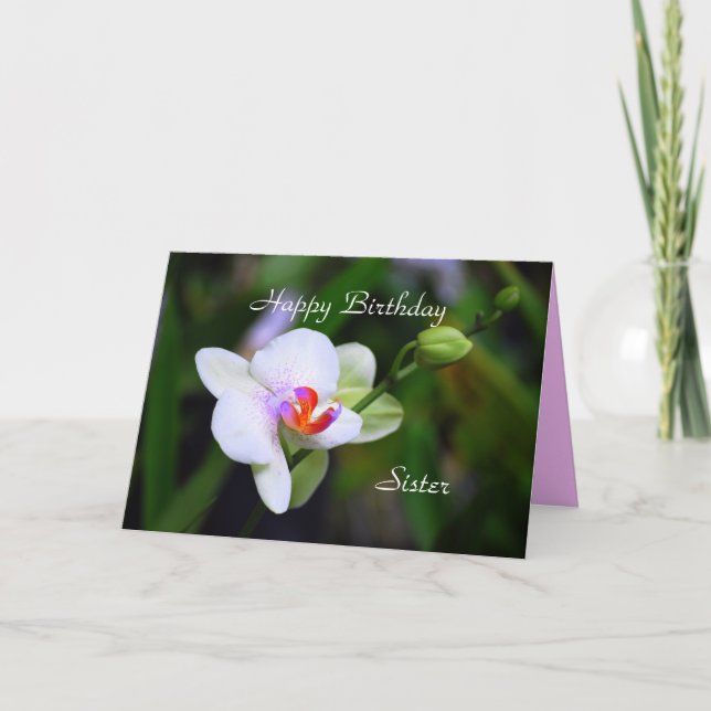 Happy Birthday Sister Phalaenopsis Orchid Card Karte (Vorderseite)