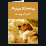 Happy Birthday Sister Real Age Spaß Fun Dog<br><div class="desc">Herzlichen Glückwunsch zum Geburtstag Schwester Freund Funny Animals. Erinnern Sie sich,  ich kenne Ihr echtes Alter mit niedlich geschocktem Hund</div>