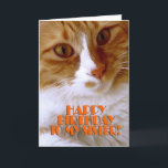 Happy Birthday Sister - Sweet Cat Karte<br><div class="desc">Wünschen Sie Ihrer Schwester ein "Happy Birthday",  mit dieser niedlichen Karte aus meiner "Kitty Koolness" Kollektion,  die ein hübsches orange-weißes Kätzchen enthält. Das Innere kann behalten werden,  wie es ist,  oder von Ihnen für diese zusätzliche Touch personalisiert werden. Foto nach Designer.</div>