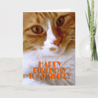 Happy Birthday Sister - Sweet Cat Karte