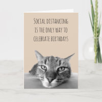 Happy Birthday Social Distancing Grump Katze