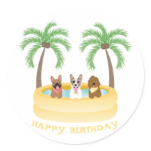 Happy Birthday Sommer Hunde Schwimmbad