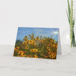 Happy Birthday Sommerzeit Schwarz-Augen-Susans Karte