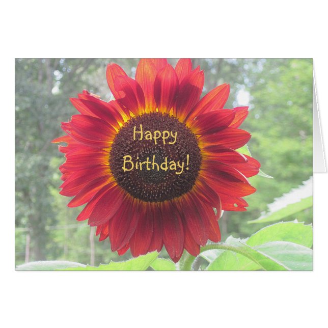 Happy Birthday Sonnenblume (Vorderseite (Horizontal))