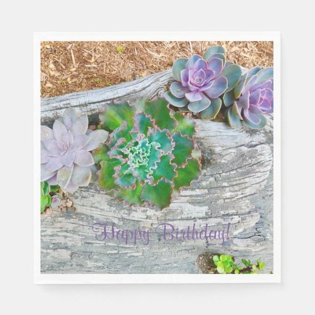 Happy Birthday Succules auf Driftwood Serviette (Vorderseite)