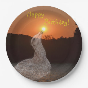 Happy Birthday Sunset Pappteller