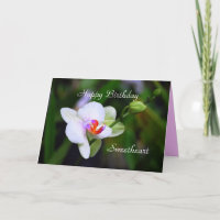 Happy Birthday Sweetheart Phalaenopsis Orchid Card