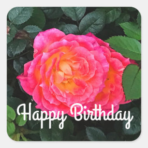 Happy Birthday Tidly Winks Rose #1 Aufkleber
