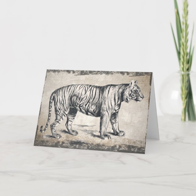 Happy Birthday Tiger, Boyfriend Birthday Card Karte (Vorderseite)