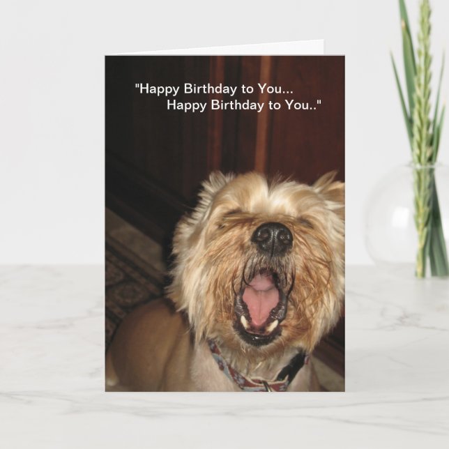 "Happy Birthday to You" - Singhund Karte (Vorderseite)