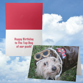 Happy Birthday Top Hund unseres Packs Niedliche We Karte