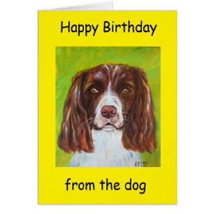 Happy Birthday vom Hund