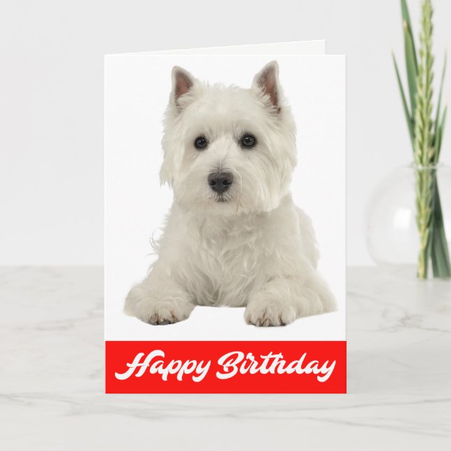 Happy Birthday White Highland Terrier Welpe Hund Karte (Vorderseite)