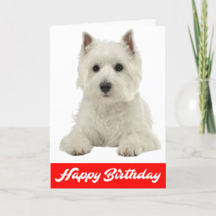 Happy Birthday White Highland Terrier Welpe Hund Karte