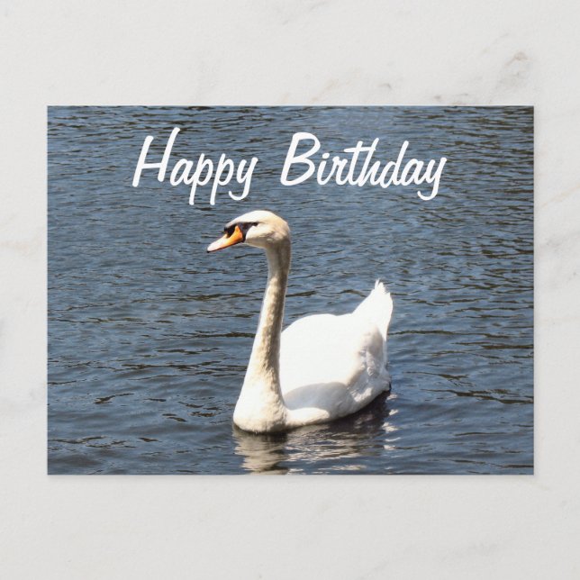 Happy Birthday white swan Postkarte (Vorderseite)