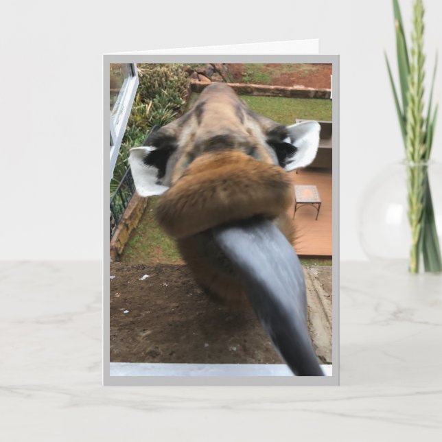 Happy Birthday Wildlife Kiss Feiertagskarte (Vorderseite)