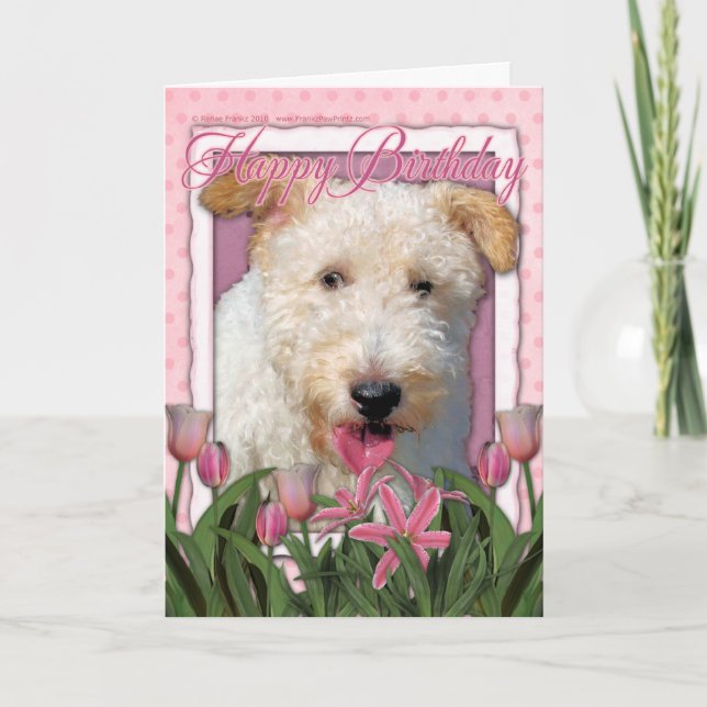 Happy Birthday - Wire Fox Terrier - Hailey Karte (Vorderseite)