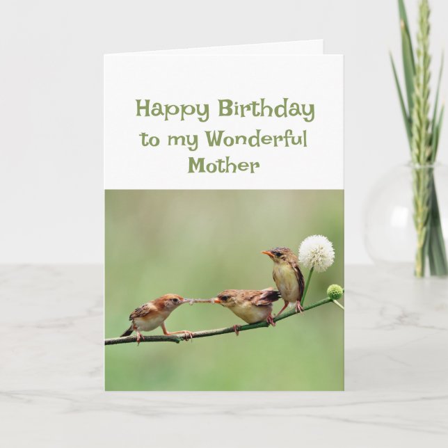 Happy Birthday Wonderful Mama Fun Birds Karte (Vorderseite)