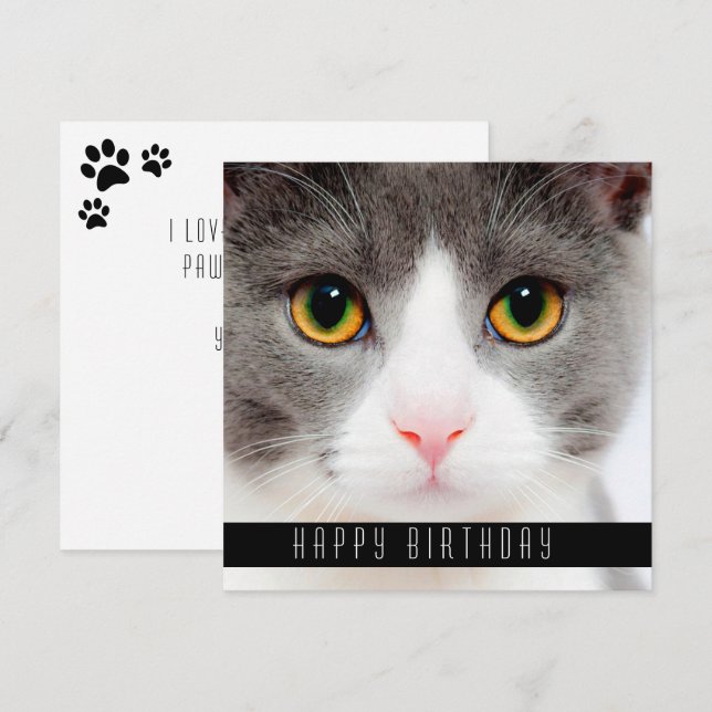 Happy Birthday wünscht Katzen Ankündigung (Vorne/Hinten)