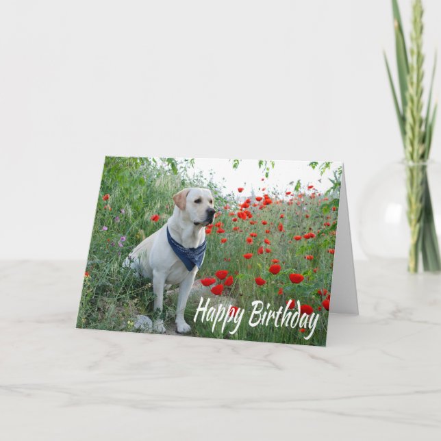 Happy Birthday Yellow Labrador Labrador Welpen-Hun Karte (Vorderseite)