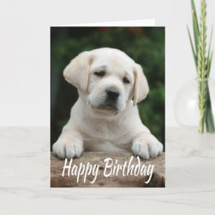 Happy Birthday Yellow Labrador Retriever Puppy Dog Karte