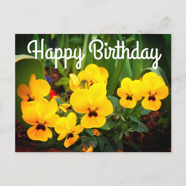 Happy Birthday Yellow Pansy #1 Postcard Postkarte (Vorderseite)