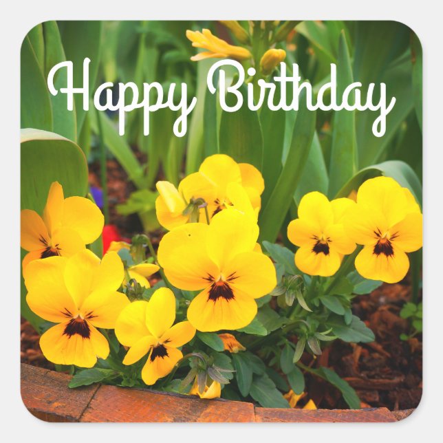 Happy Birthday Yellow Pansy #1 Stickers (Vorderseite)