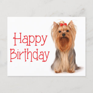 Happy Birthday Yorkshire Terrier Puppy Postcard Postkarte