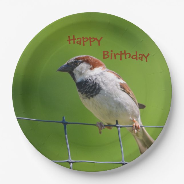 Happy Birthdy Bird Plate Pappteller (Vorderseite)