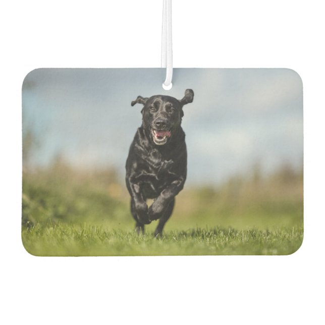 Happy Black Labrador Retriever Running Air Freshen Autolufterfrischer (Vorderseite)