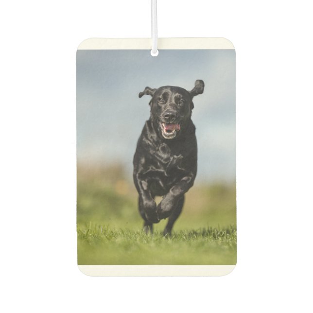 Happy Black Labrador Retriever Running Air Freshen Autolufterfrischer (Vorderseite)