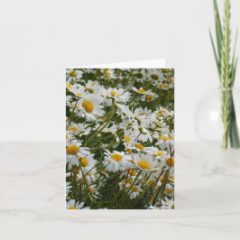 Happy Blume Meadow - Happy face lächelnd daisy