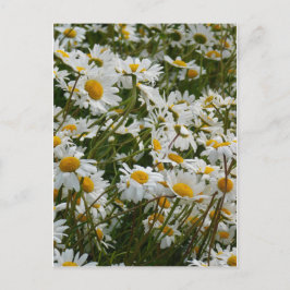 Happy Blume Meadow - Happy face lächelnd daisy Postkarte