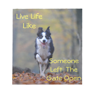 Happy Border Collie Hund läuft und spielt Notizblock