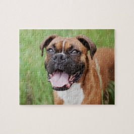 Happy Boxer 8x10