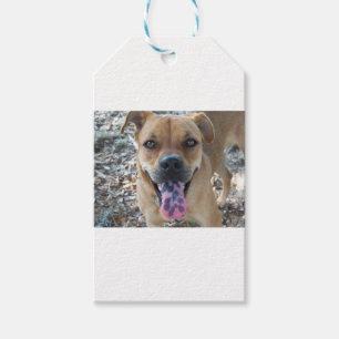 Happy Brown Hund mit gepunkteter Zunge Geschenkanhänger