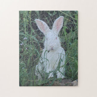 Happy Bunny