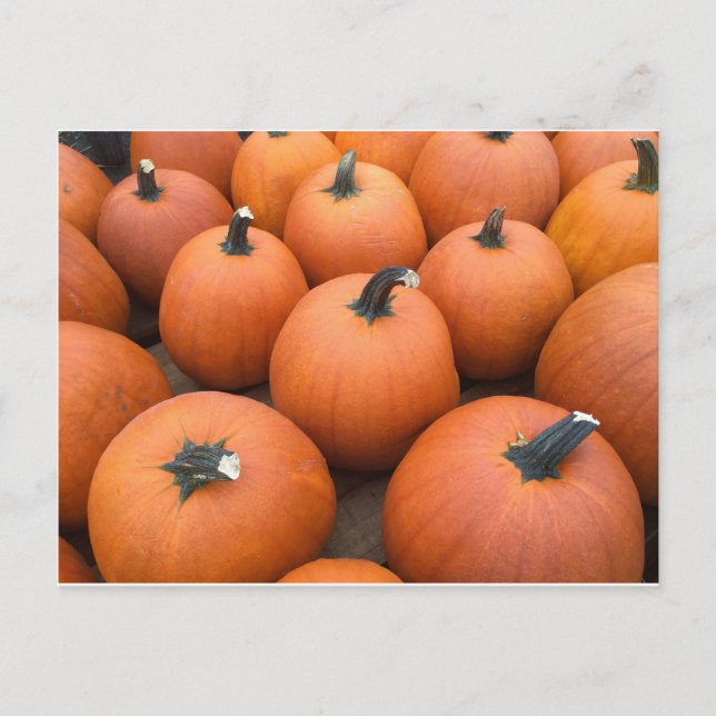 Happy Carving Postkarte (Vorderseite)