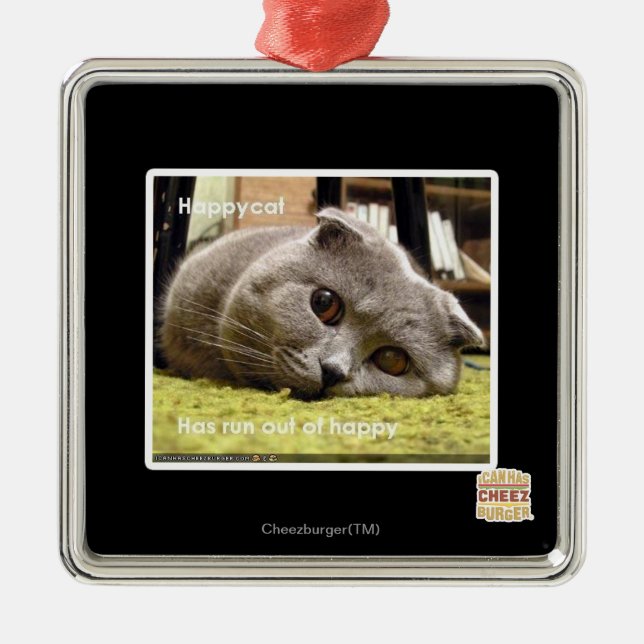 Happy Cat, aus glücklich Silbernes Ornament (Vorne)